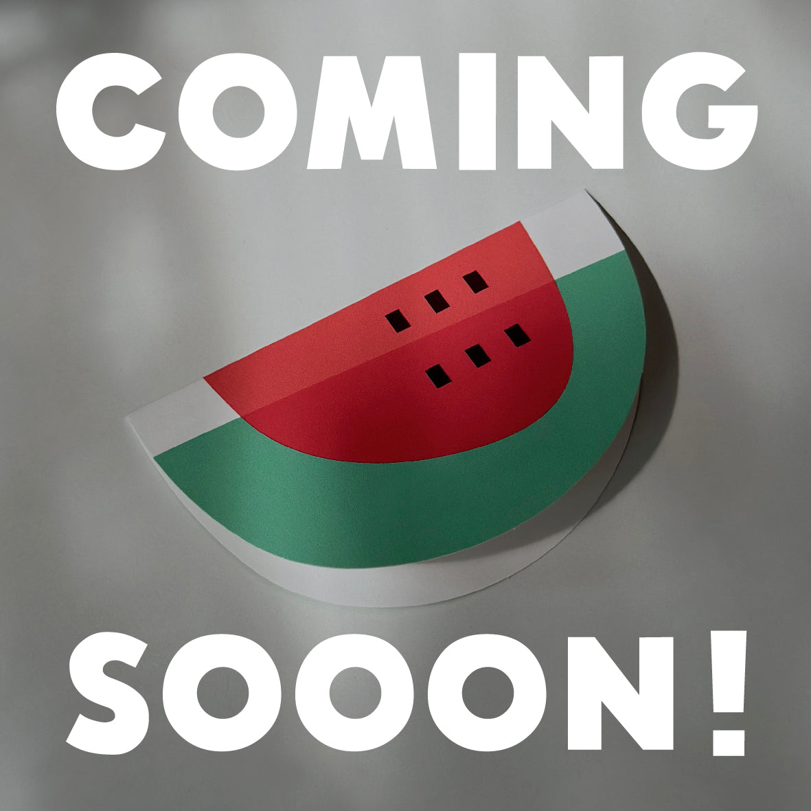 salon suika 回数券